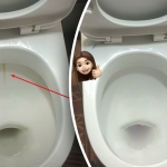 Eén product maakt je toiletpot stralend wit: hoe je tandplak