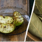 Muggen zullen voor altijd verdwijnen: een eenvoudige oplossing voor insecten